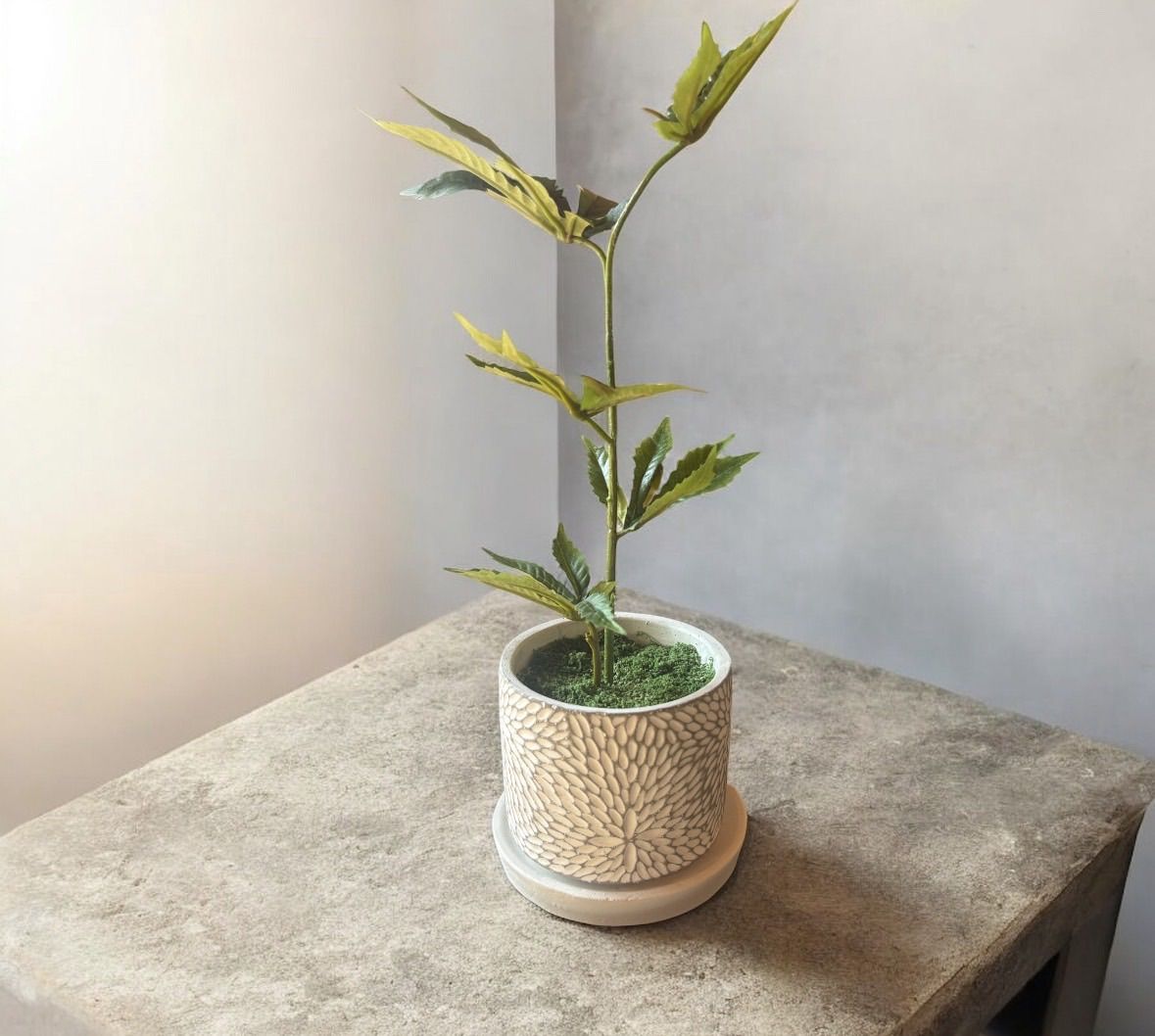 光触媒 フェイクグリーン マリファナ 人工観葉植物 大麻 CBD#3618