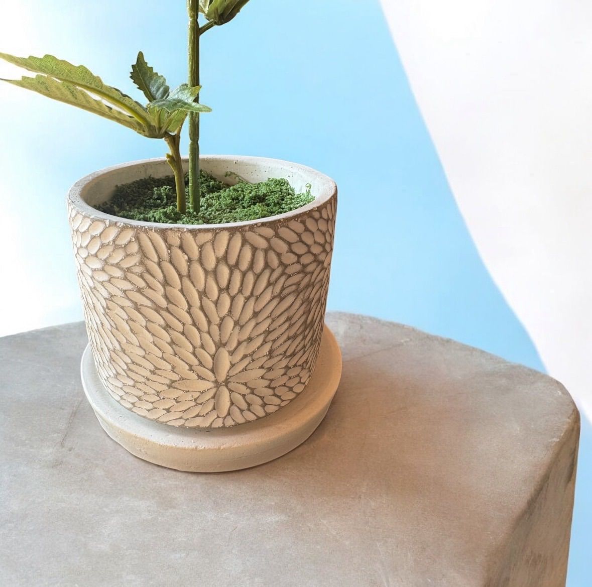 光触媒　フェイクグリーン　◯◯ファナ　人工観葉植物　大麻　CBD# 12757 光触媒 フェイクグリーン マリファナ 人工観葉植物 大麻 CBD#3618