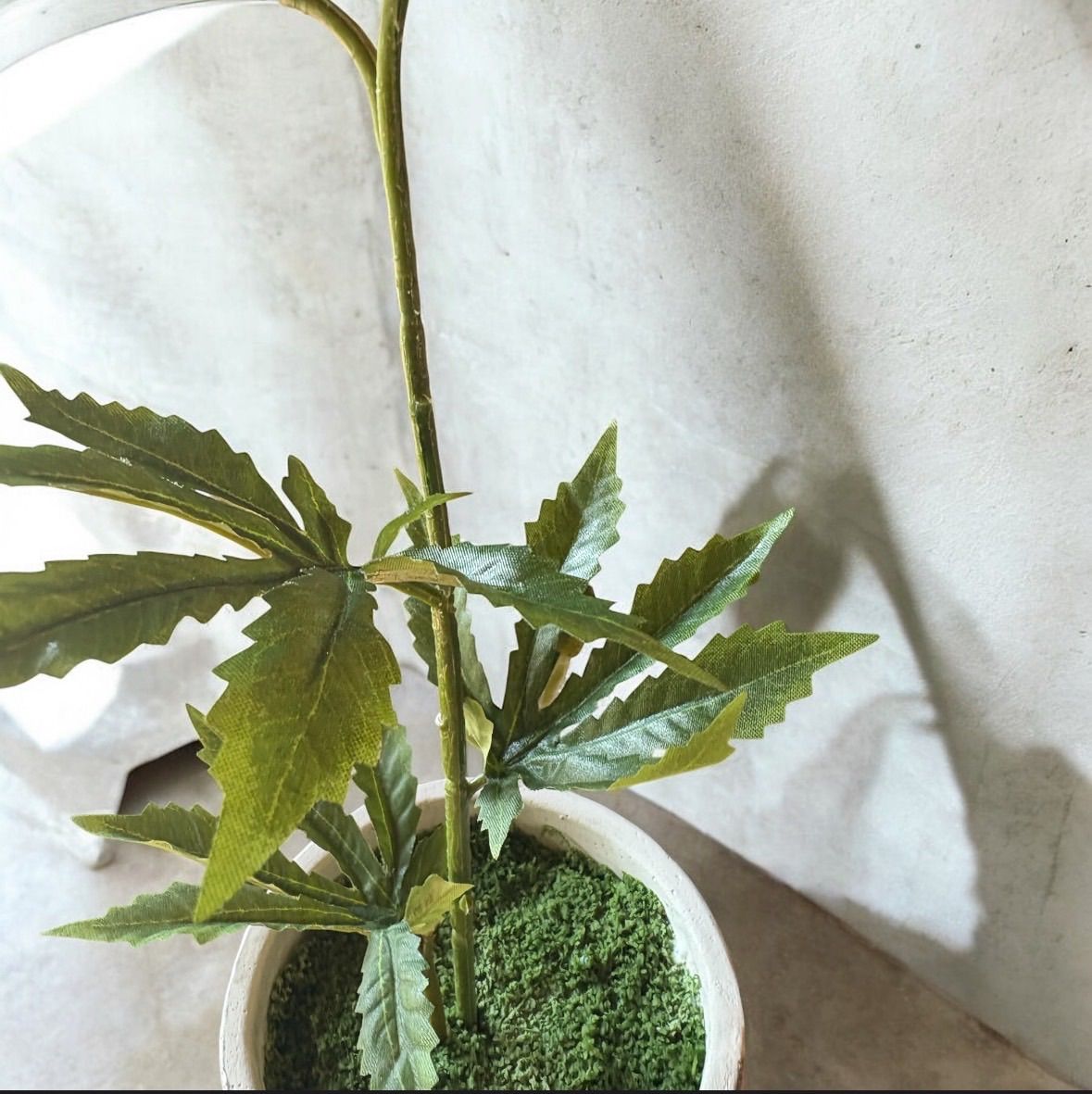 光触媒 フェイクグリーン ◯◯ファナ 人工観葉植物 大麻 CBD# 12757