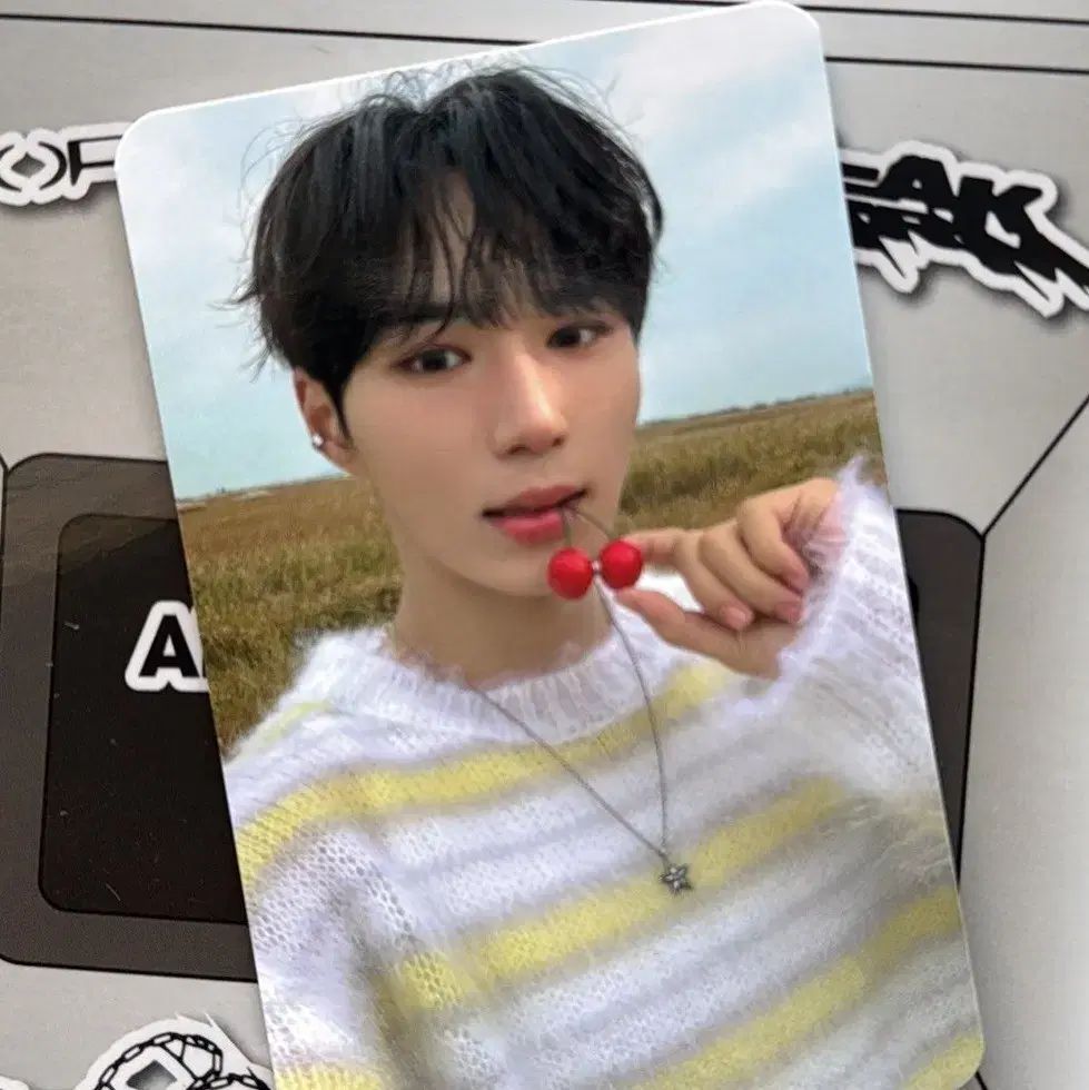 韓国 Alphadriveone ALD1 サノク シンロン トレカ ALPHA DRIVE ONE