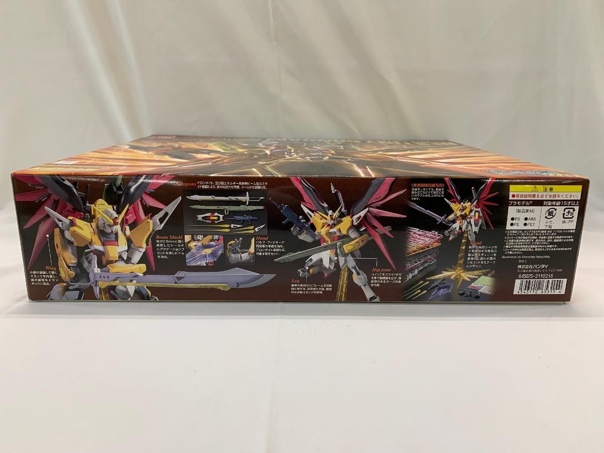 未開封】MG 1/100 ハイネ専用 デスティニーガンダム (ガンプラEXPO限定