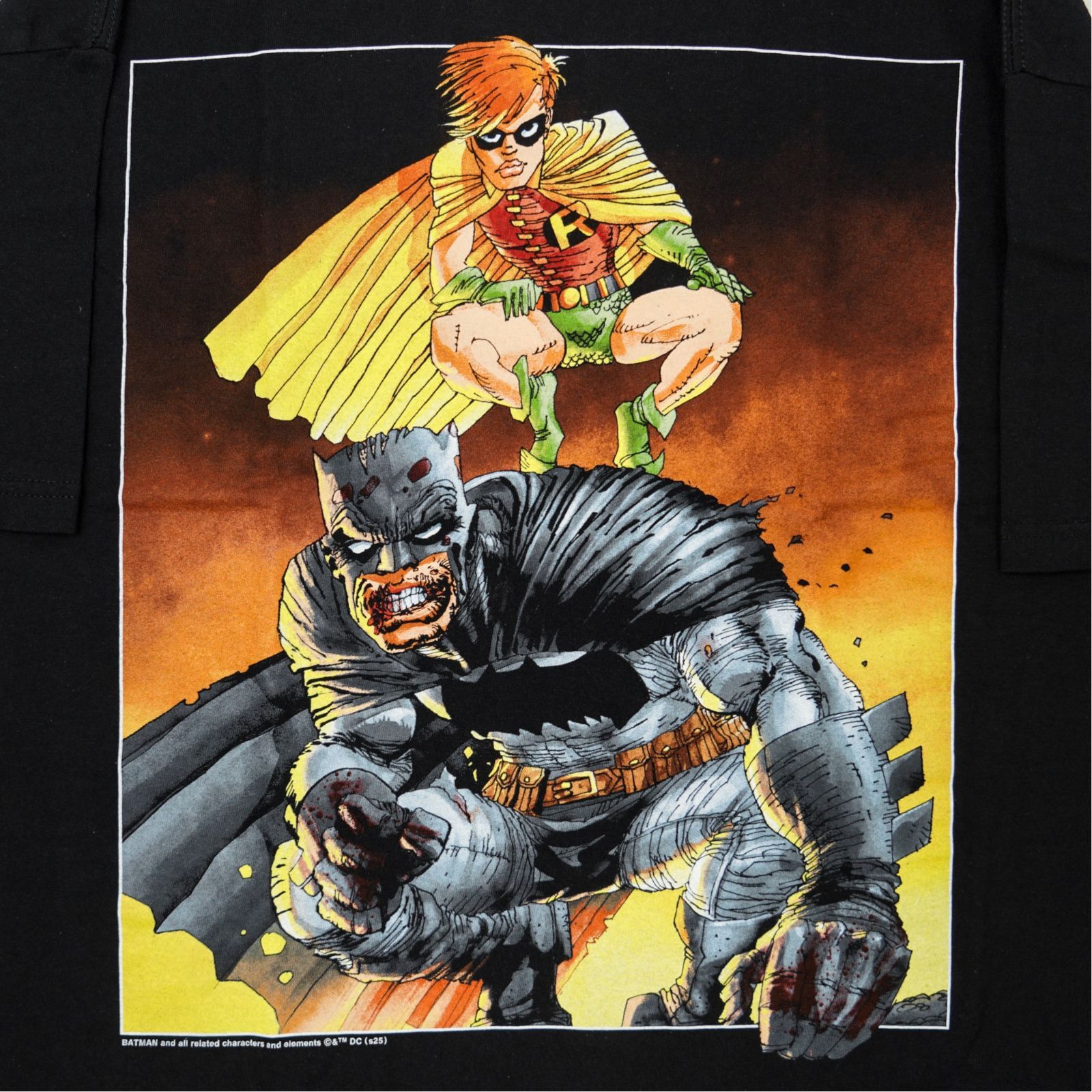 GEEKS RULE ギークスルール BATMAN バットマン ロビン Tシャツ 