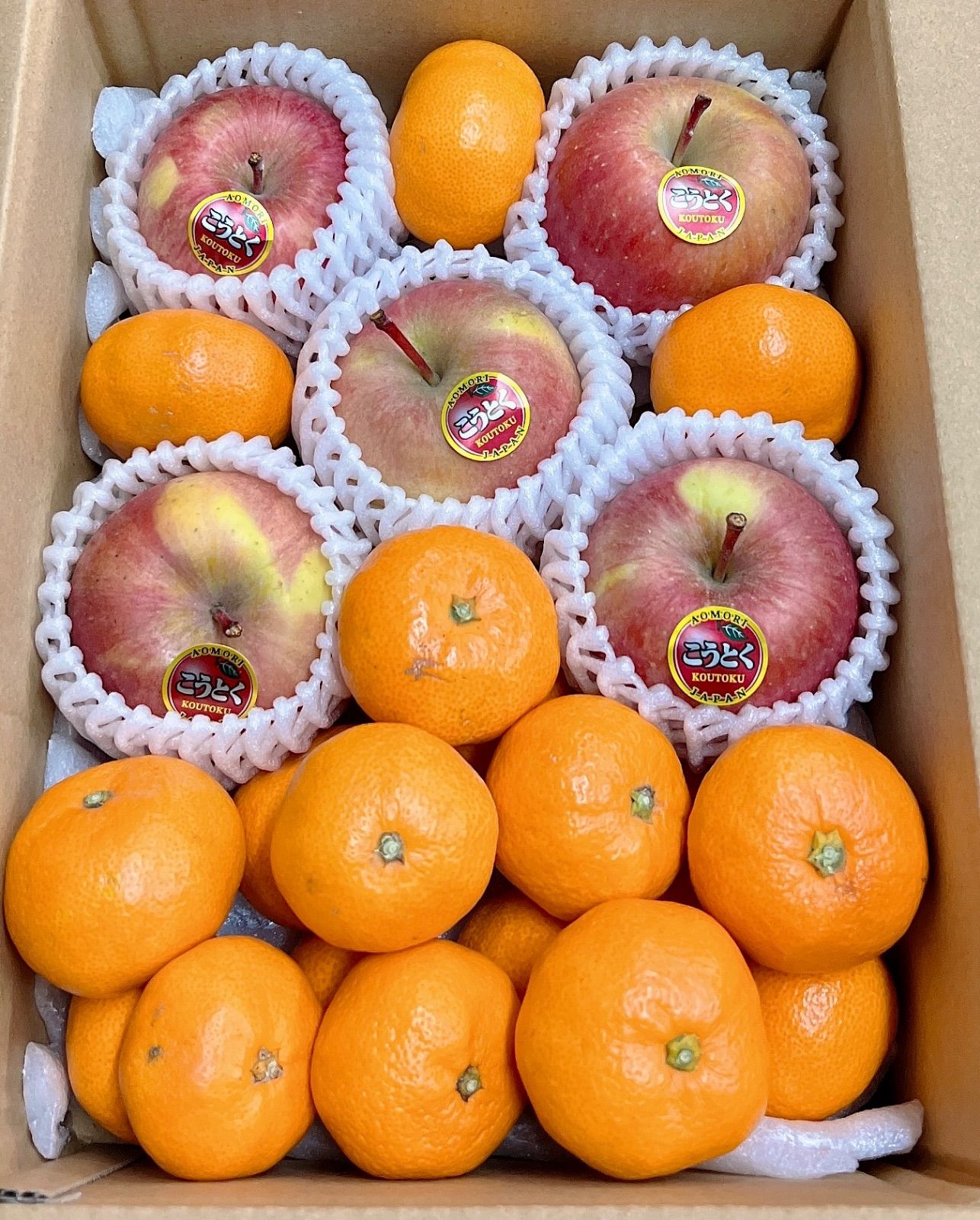 食べ比べセット 幻の高徳 三ヶ日青島みかん 三ヶ日みかん こうとく