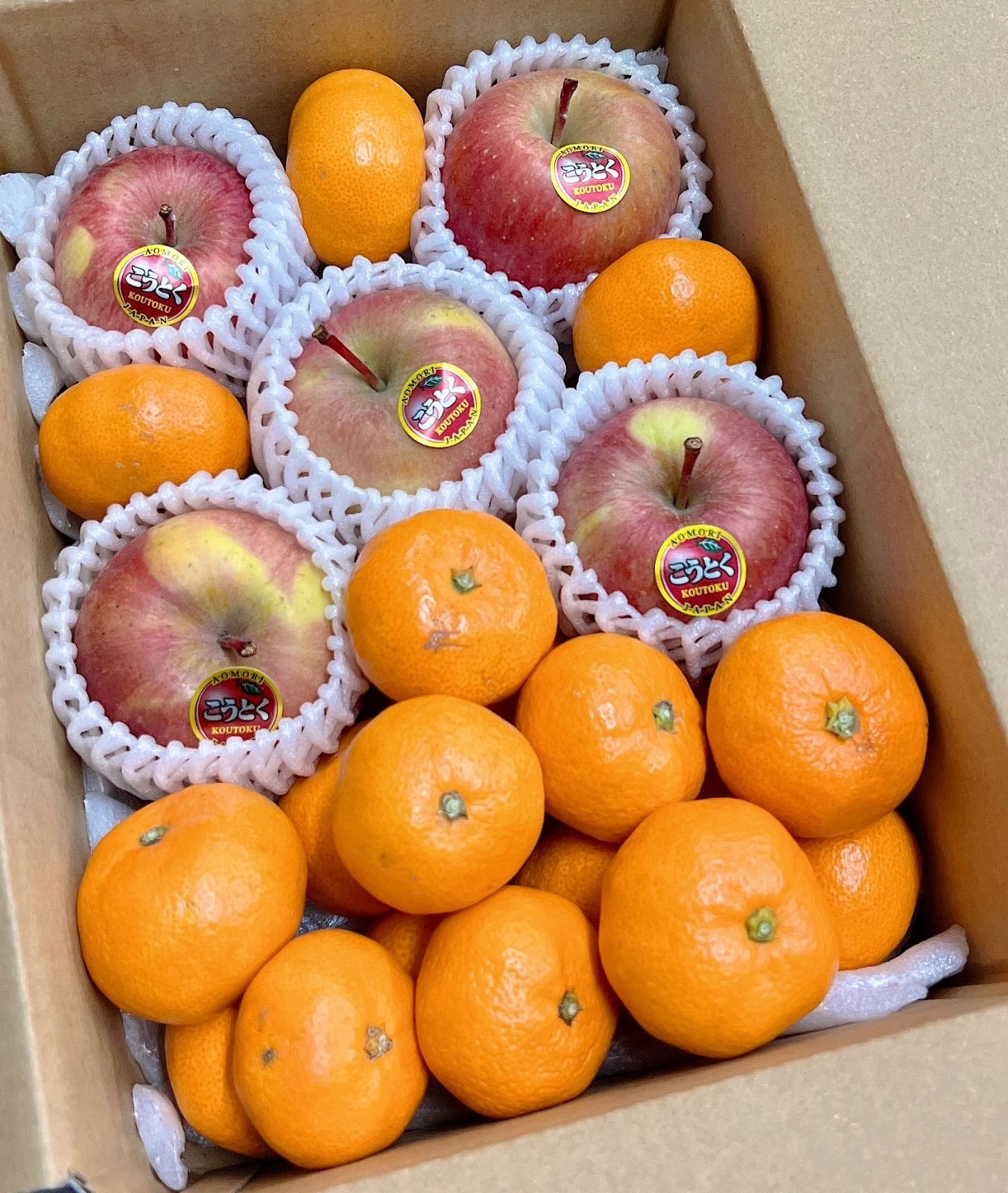 食べ比べセット 幻の高徳 三ヶ日青島みかん 三ヶ日みかん こうとく