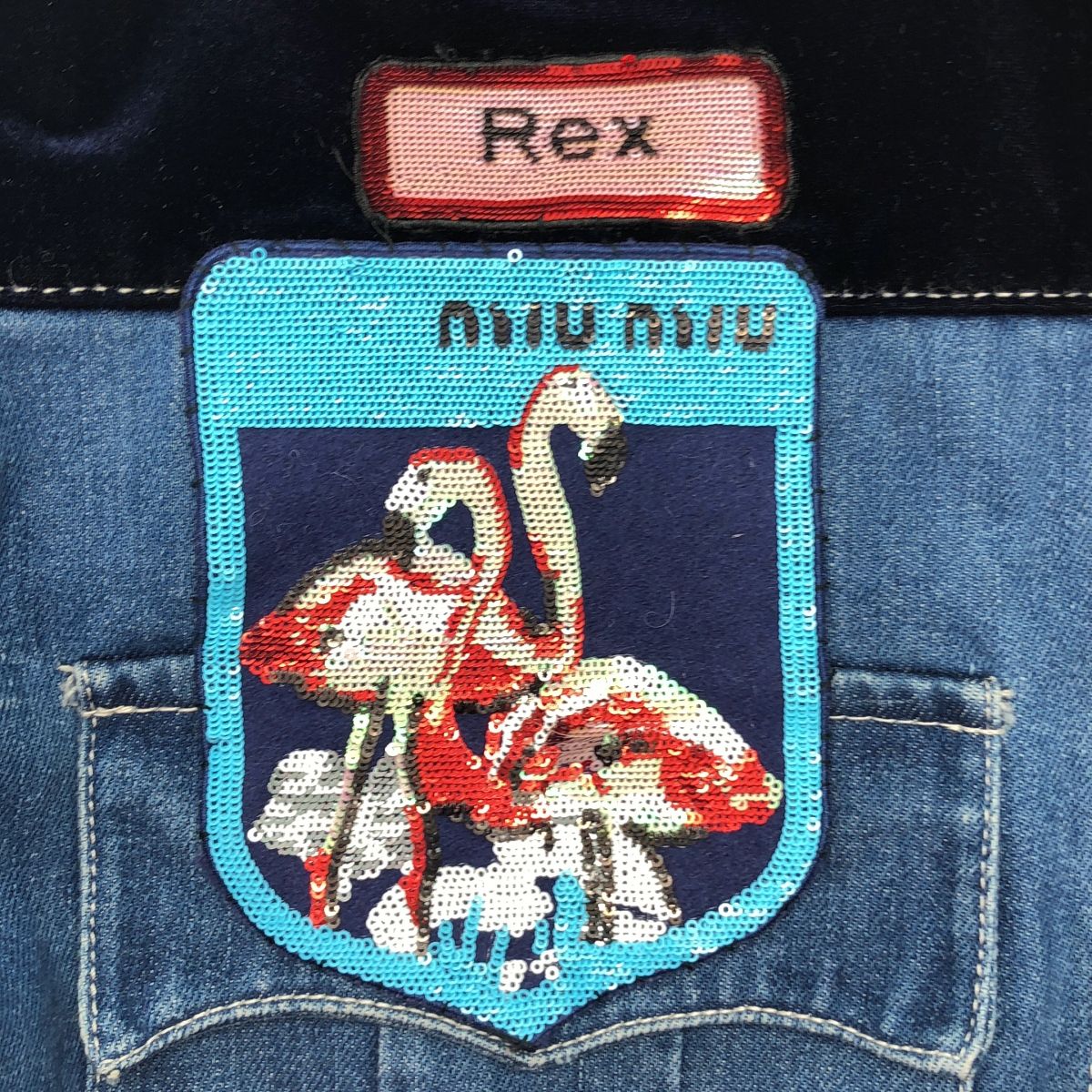 miu miu / ミュウミュウ | ロゴワッペン レースカラー ベルベット切替