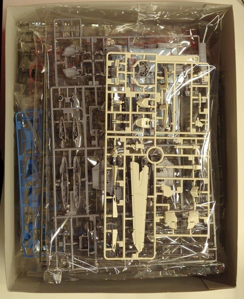 BANDAISPIRITS MG/GUNDAM NEXT FUTURE限定 1/100 機動戦士ガンダムSEED