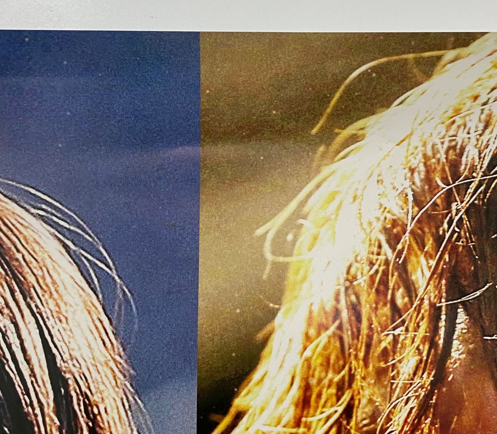 店頭用ポスター 伝説の最期