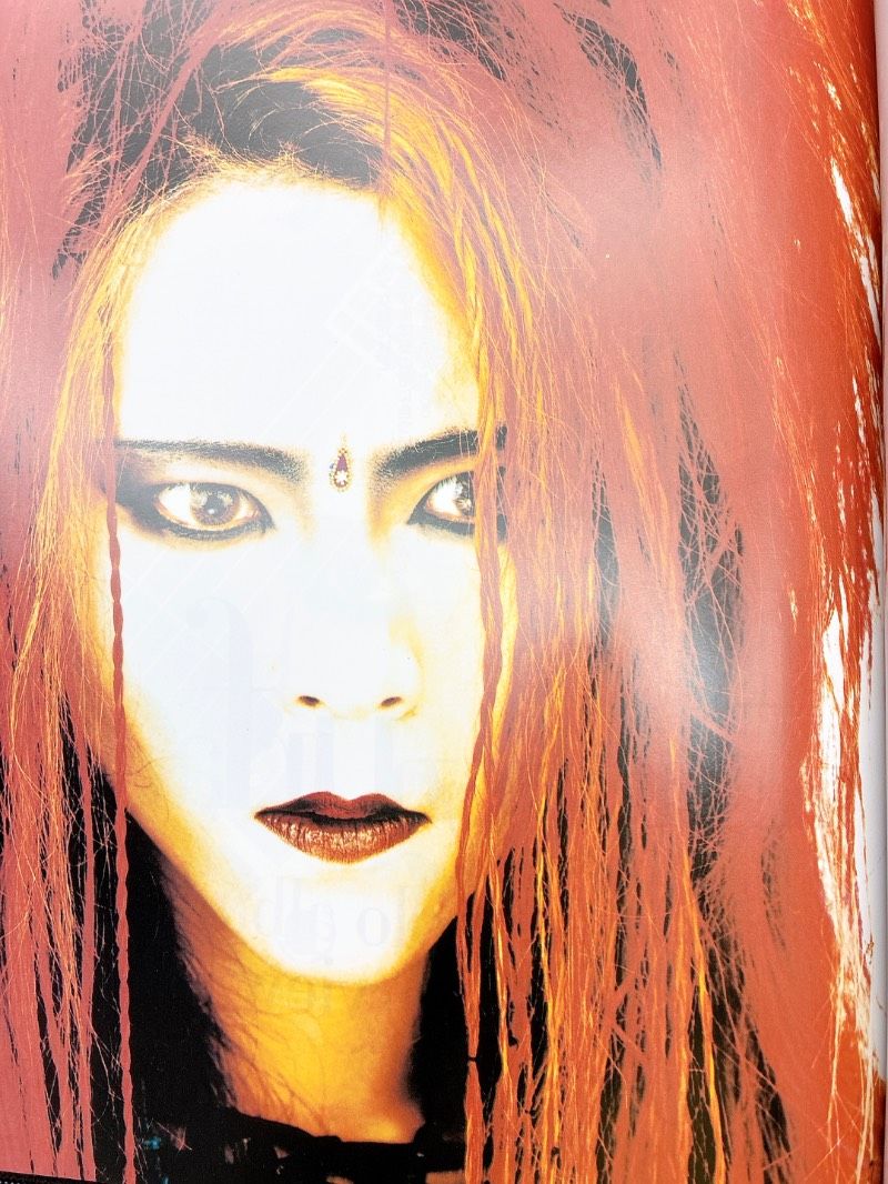 希少】X JAPAN COMPLETE FILE シリアルナンバー入りプレート(未開封