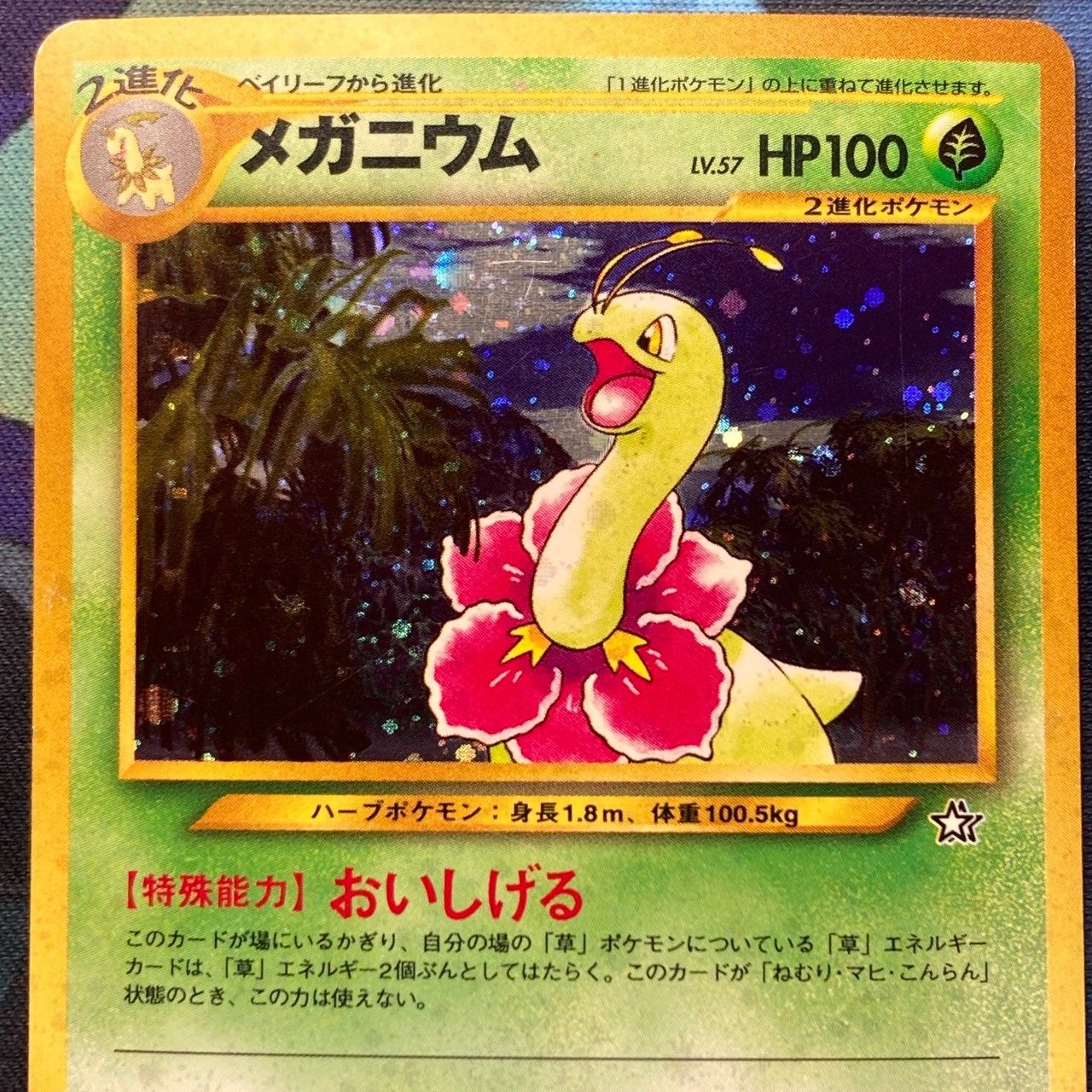 オーダイル メガニウムバクフーン拡張パック第1弾 金、銀、新世界へ… 旧裏 本日限定価格バクフーン 拡張パック第1弾 金、銀、新世界へ… 旧裏