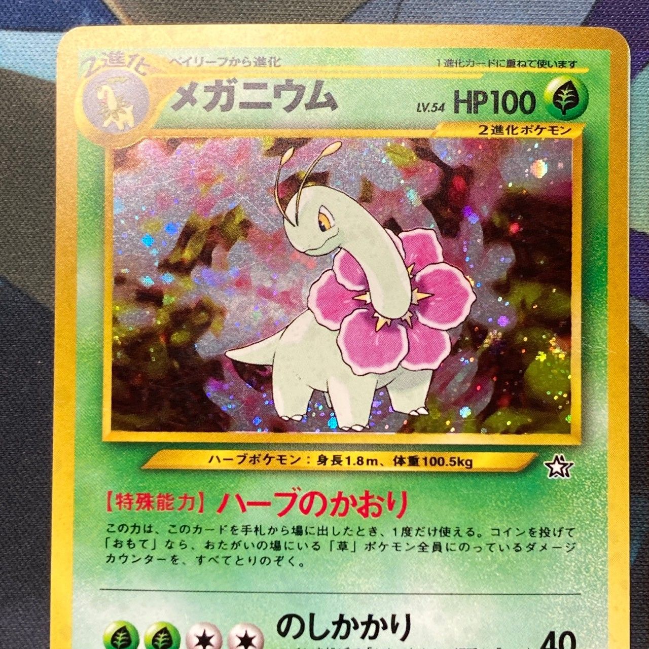 ポケモンカード Bランク 旧裏 メガニウム バクフーン オーダイル 3枚