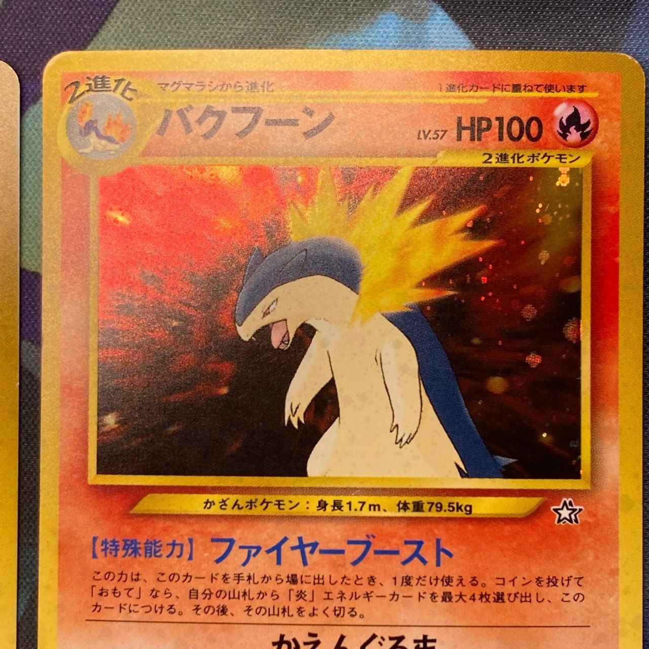 ポケモンカード Bランク 旧裏 メガニウム バクフーン オーダイル 3枚