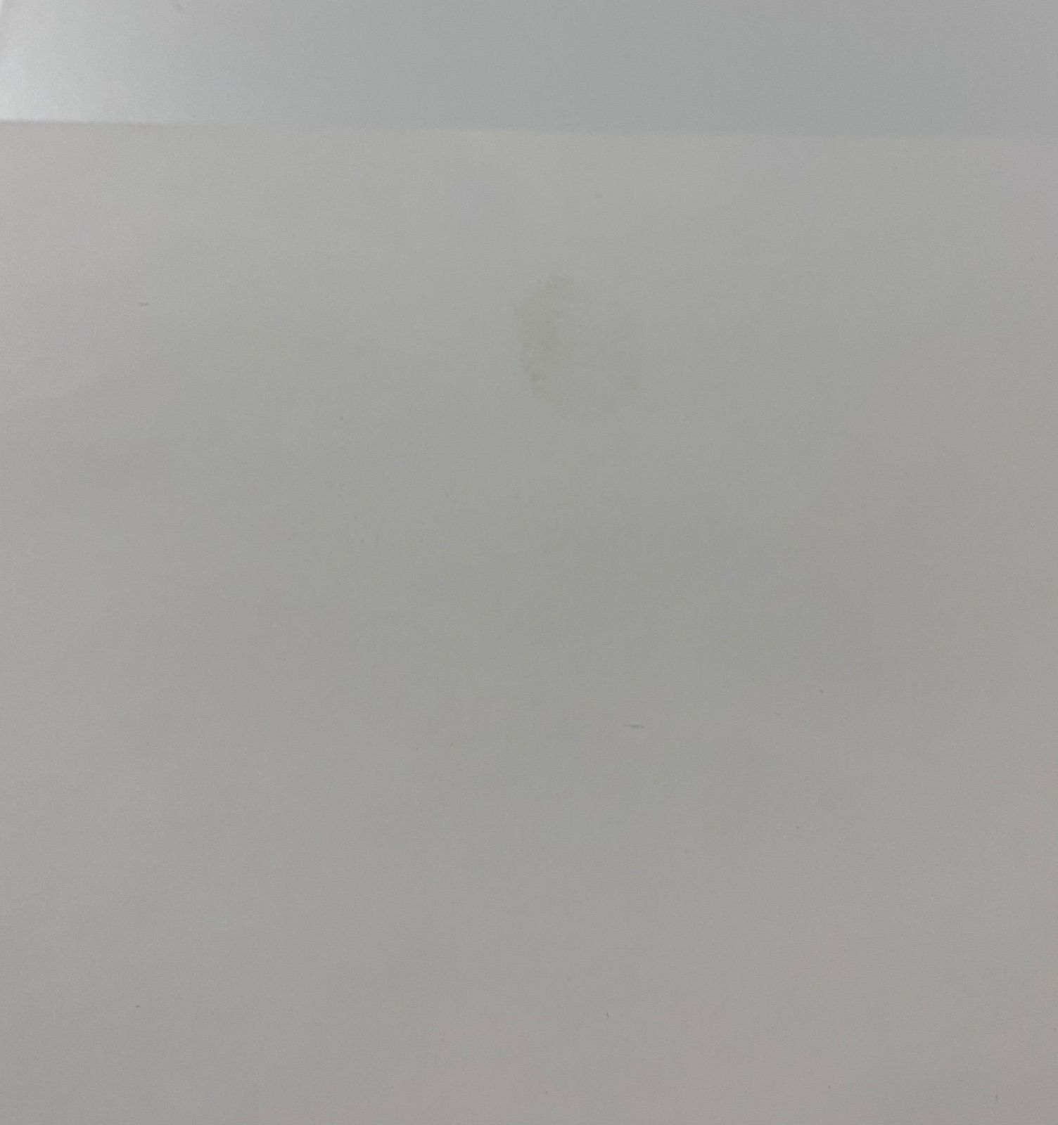  非売品 トワイライトささらさや ポスター 店頭用ポスター 映画 大泉洋 新垣結衣 ポスター その他