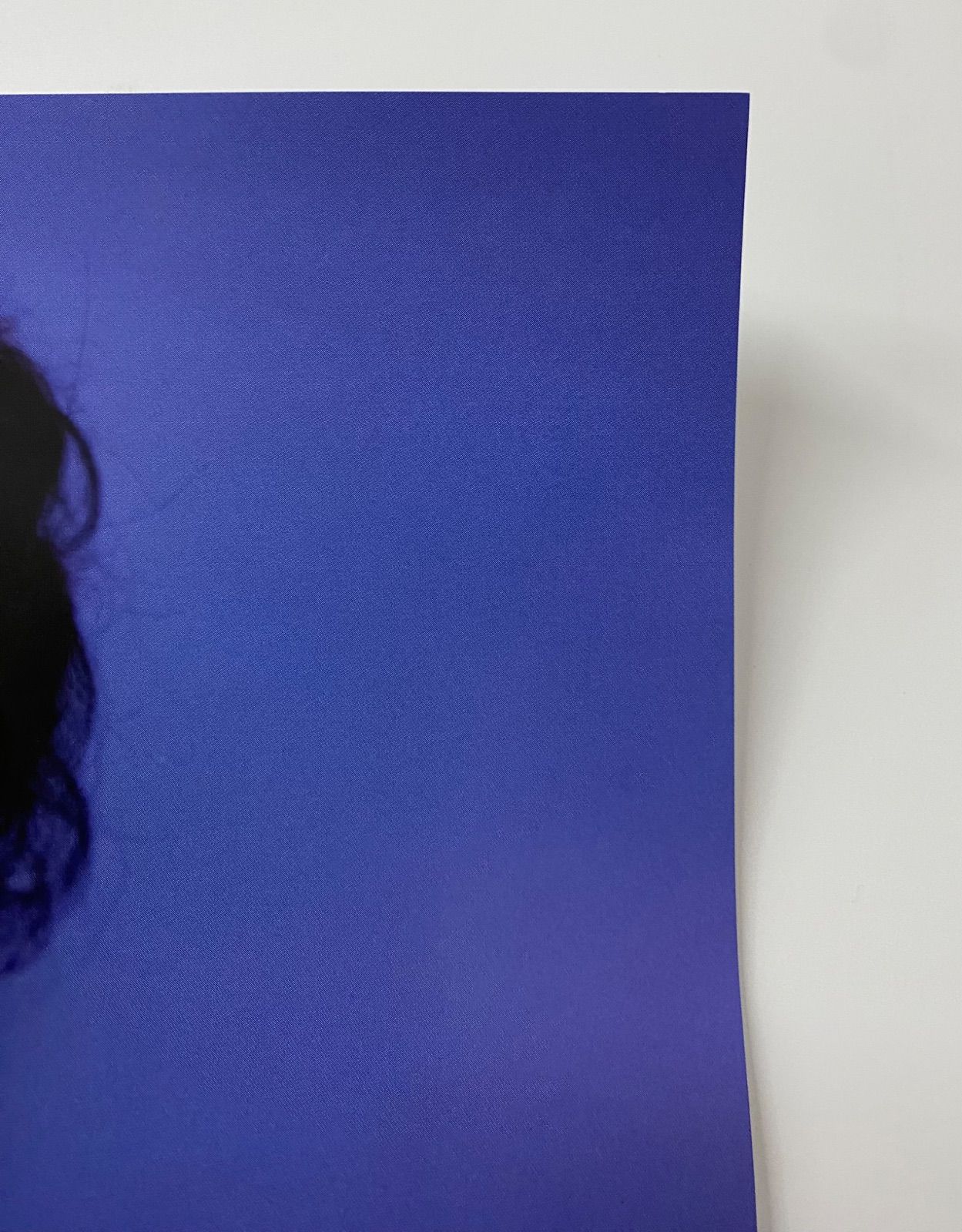 大泉洋 新垣結衣