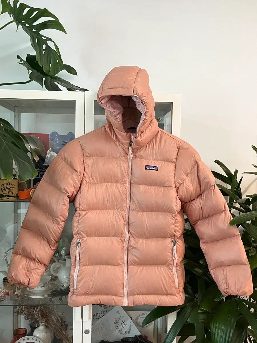 パタゴニア キッズ ハイロフト ダウン ジャケット L(12) - メルカリ