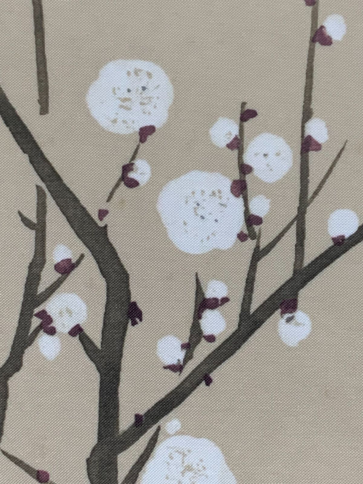 掛け軸】269 酒井抱一「白梅椿鶯図」工芸 限定1258/1500部 鈴木其一師