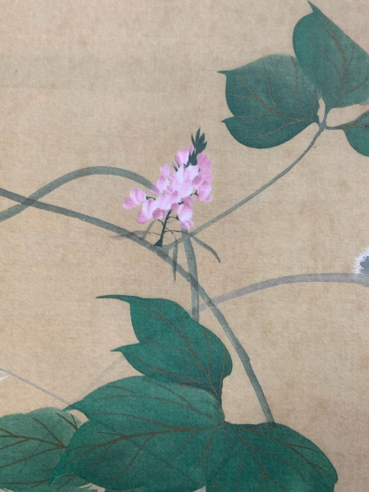 掛け軸】276 酒井抱一「七草図」工芸 鈴木其一師 江戸琳派創始者 江戸