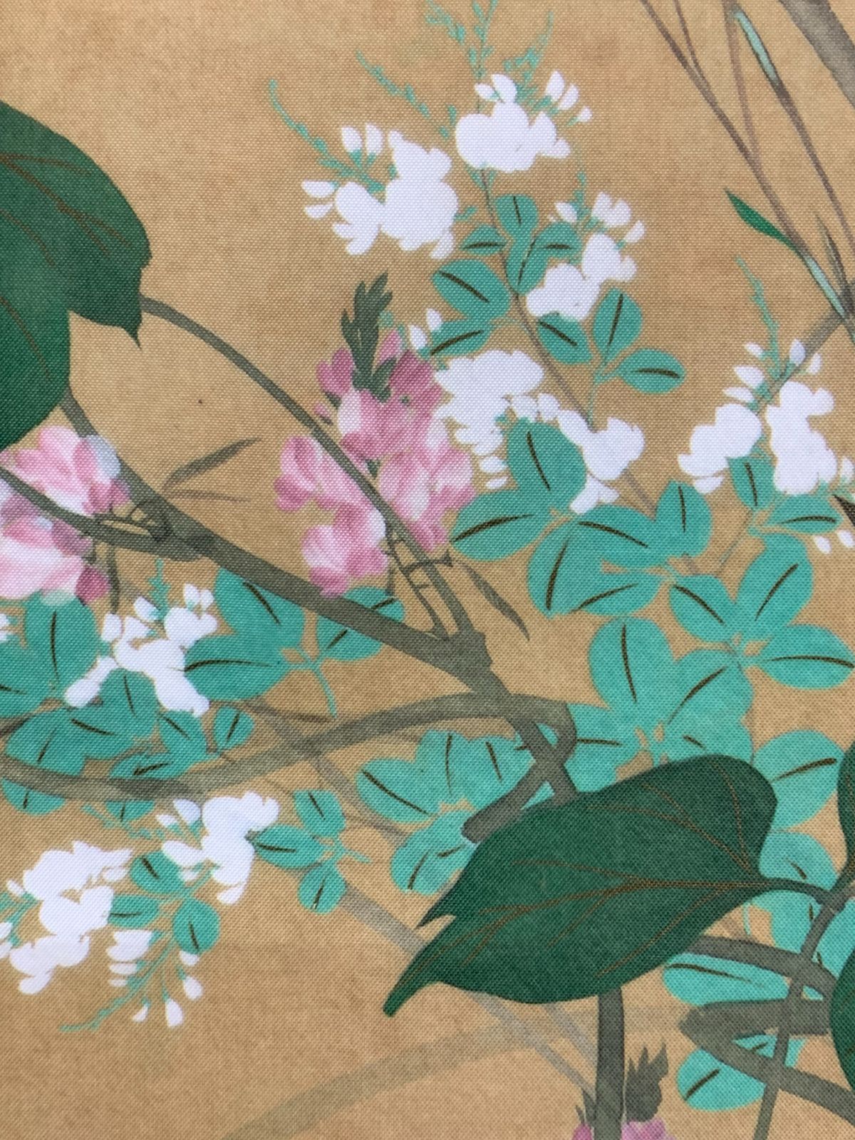 掛け軸】276 酒井抱一「七草図」工芸 鈴木其一師 江戸琳派創始者 江戸