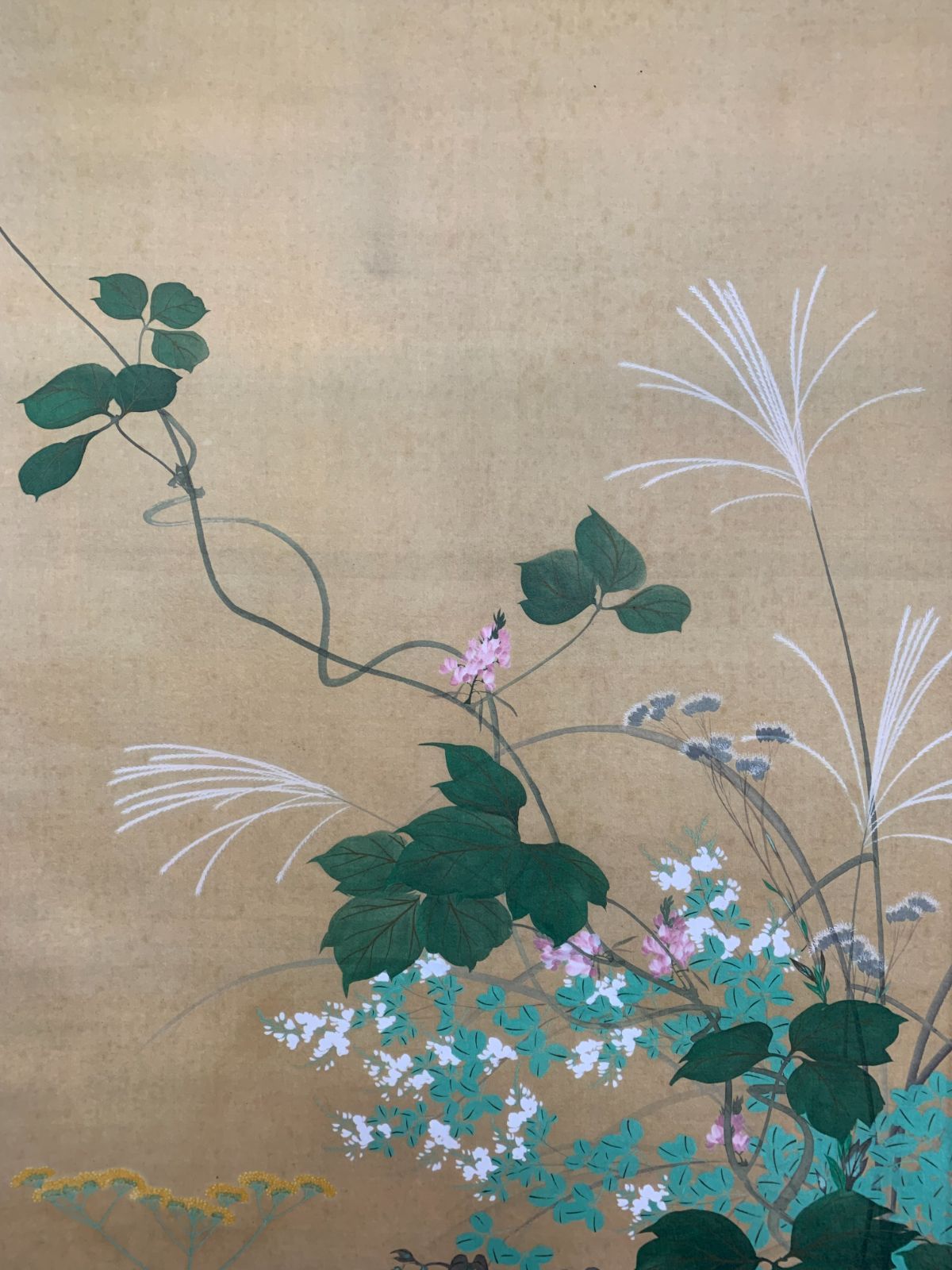 掛け軸】276 酒井抱一「七草図」工芸 鈴木其一師 江戸琳派創始者 江戸