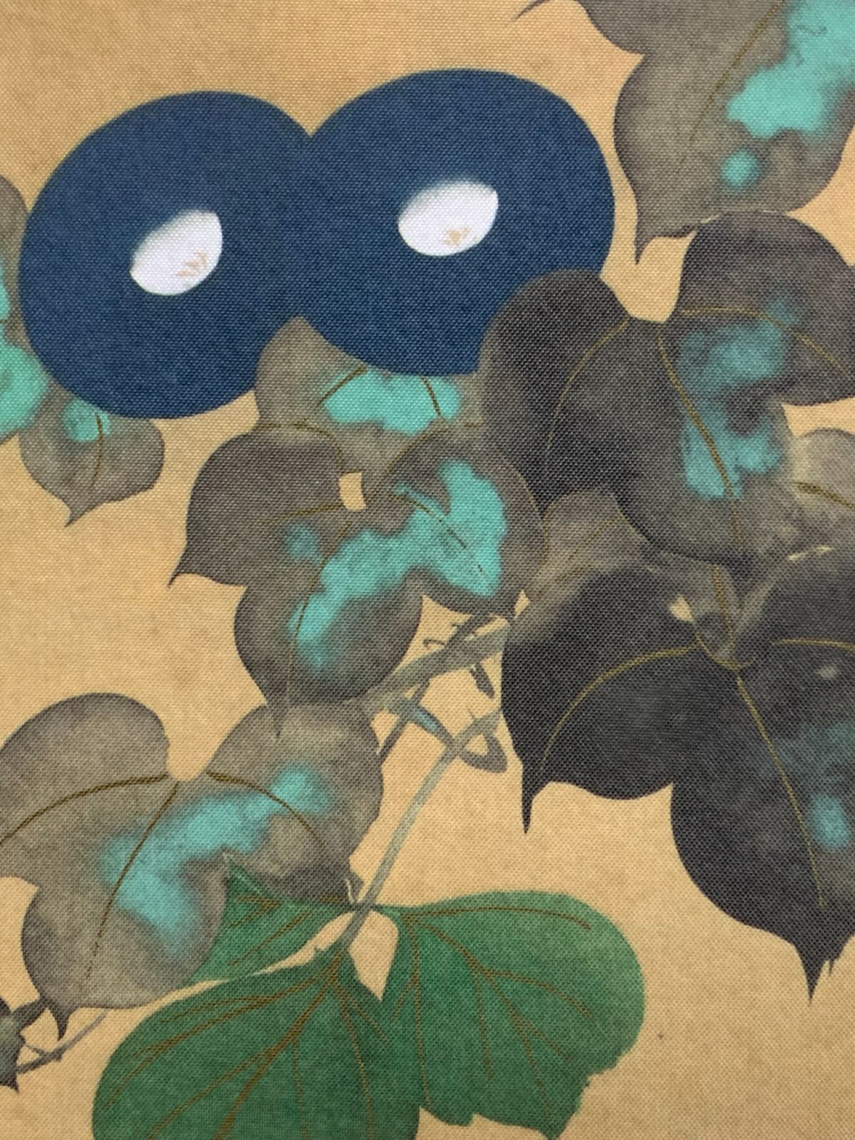 美品 掛け軸 酒井抱一筆 七草図 解説付き 美品 掛け軸 酒井抱一筆 七草図 秋草 おもてなし Amazon.co.jp: 掛け軸