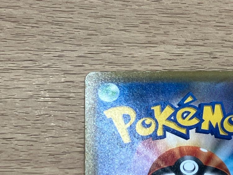 プレイ用 ブラッキー＆ダークライ