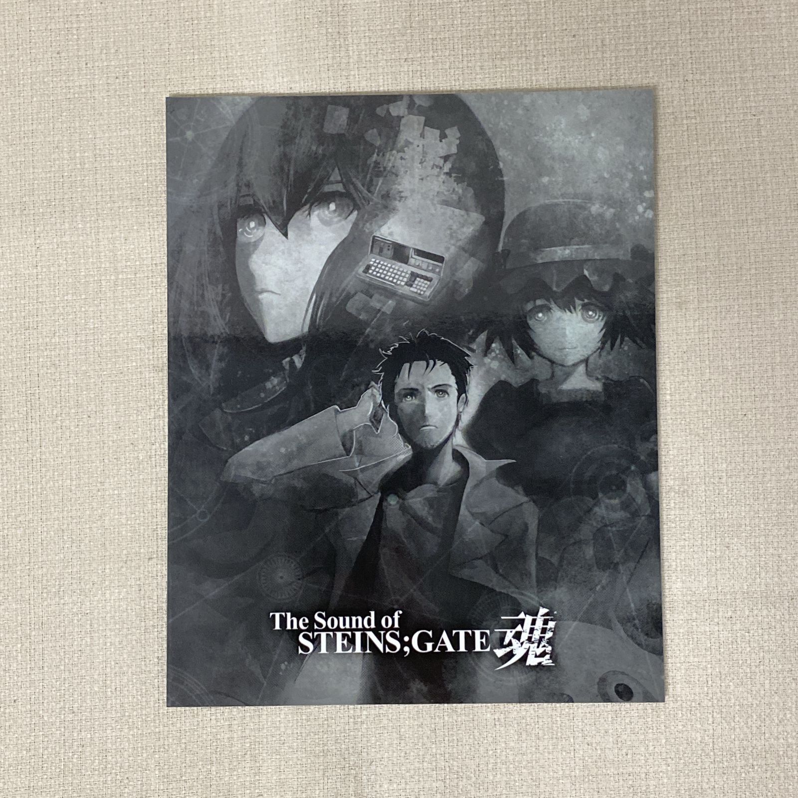 The Sound of STEINS:GATE 魂