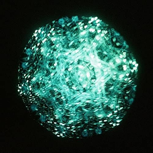 CD】リーガルリリー / Cとし生けるもの(初回生産限定盤)(Blu-ray Disc