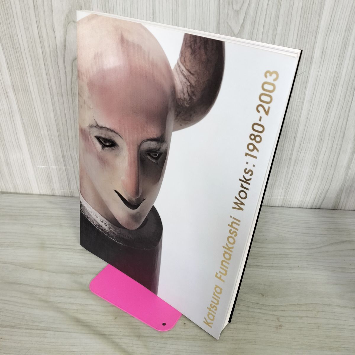 新品『舟越桂記録集』 新品『舟越桂記録集』 舟越桂作品集 立ちつくす山 / 舟越桂 | 小宮山書店