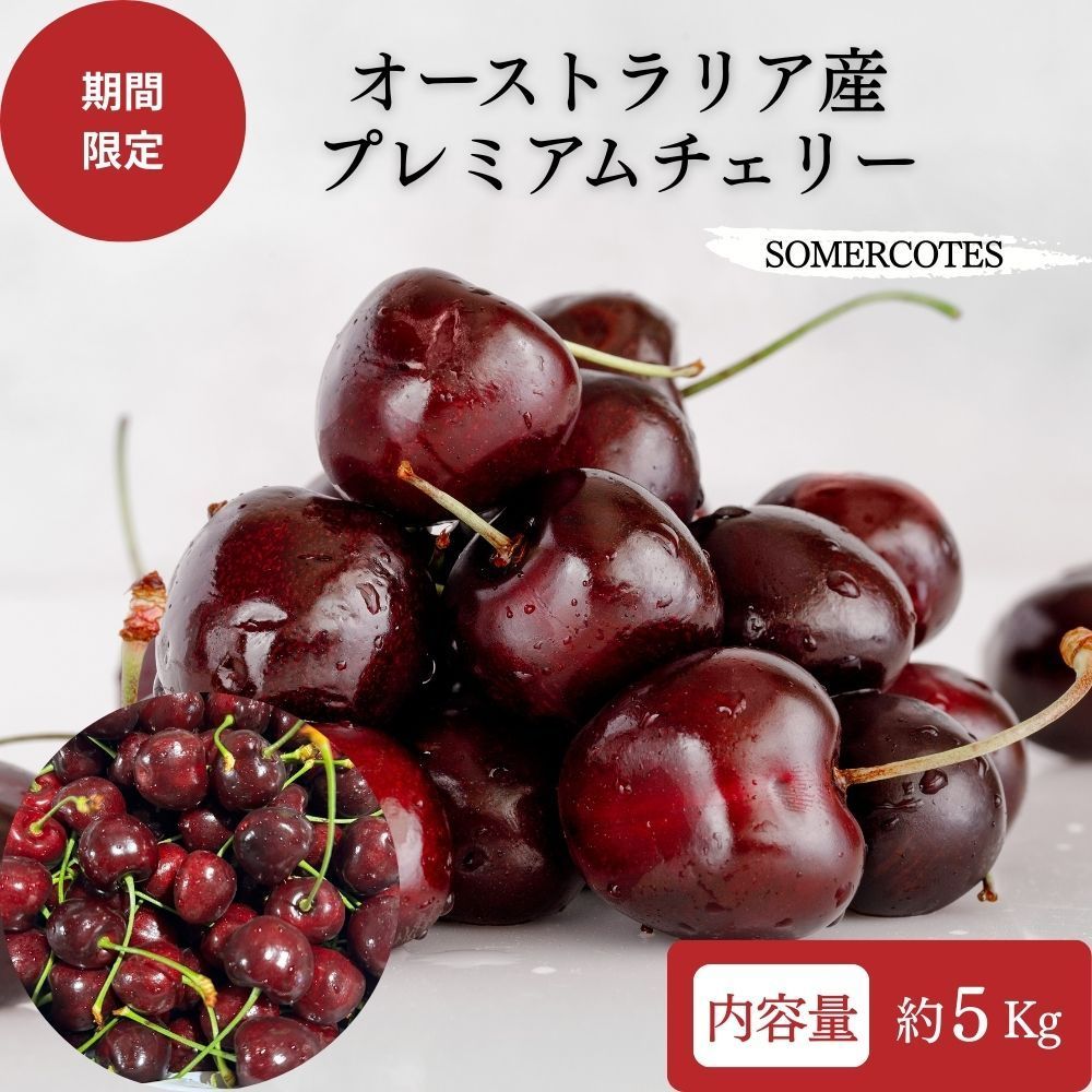 タスマニア産】厳選チェリー 5Kg 空輸直送 SOMERCOTES - メルカリ