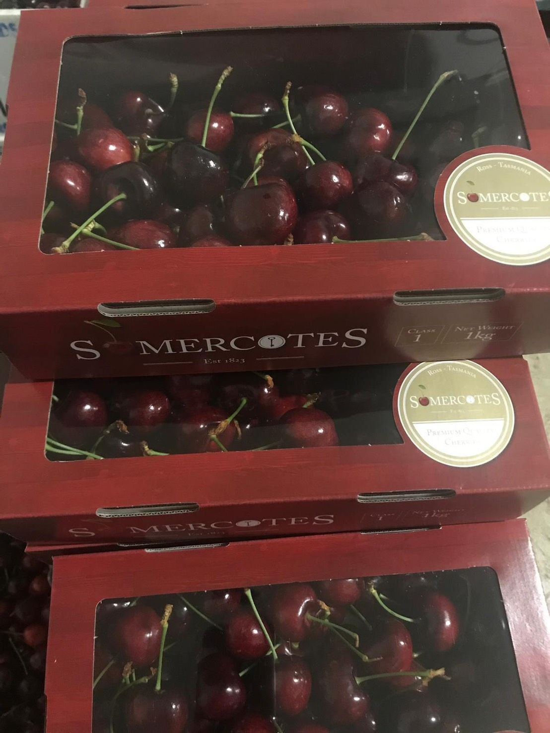 タスマニア産】厳選チェリー 5Kg 空輸直送 SOMERCOTES - メルカリ