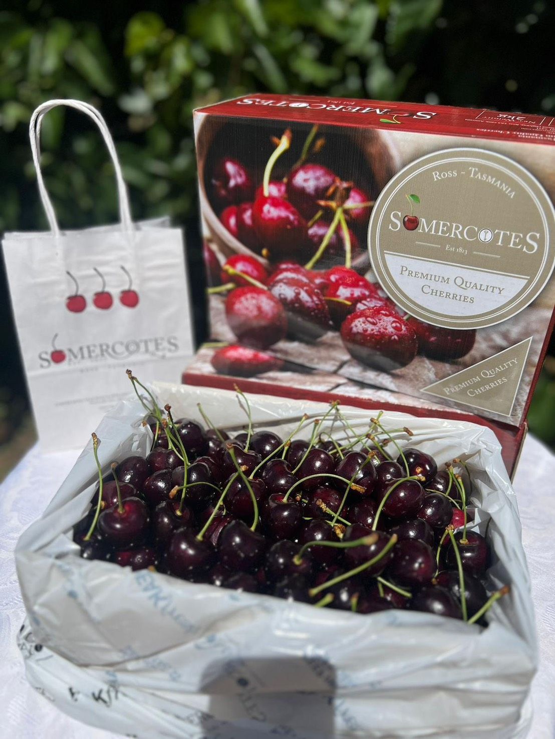 タスマニア産】厳選チェリー 5Kg 空輸直送 SOMERCOTES - メルカリ