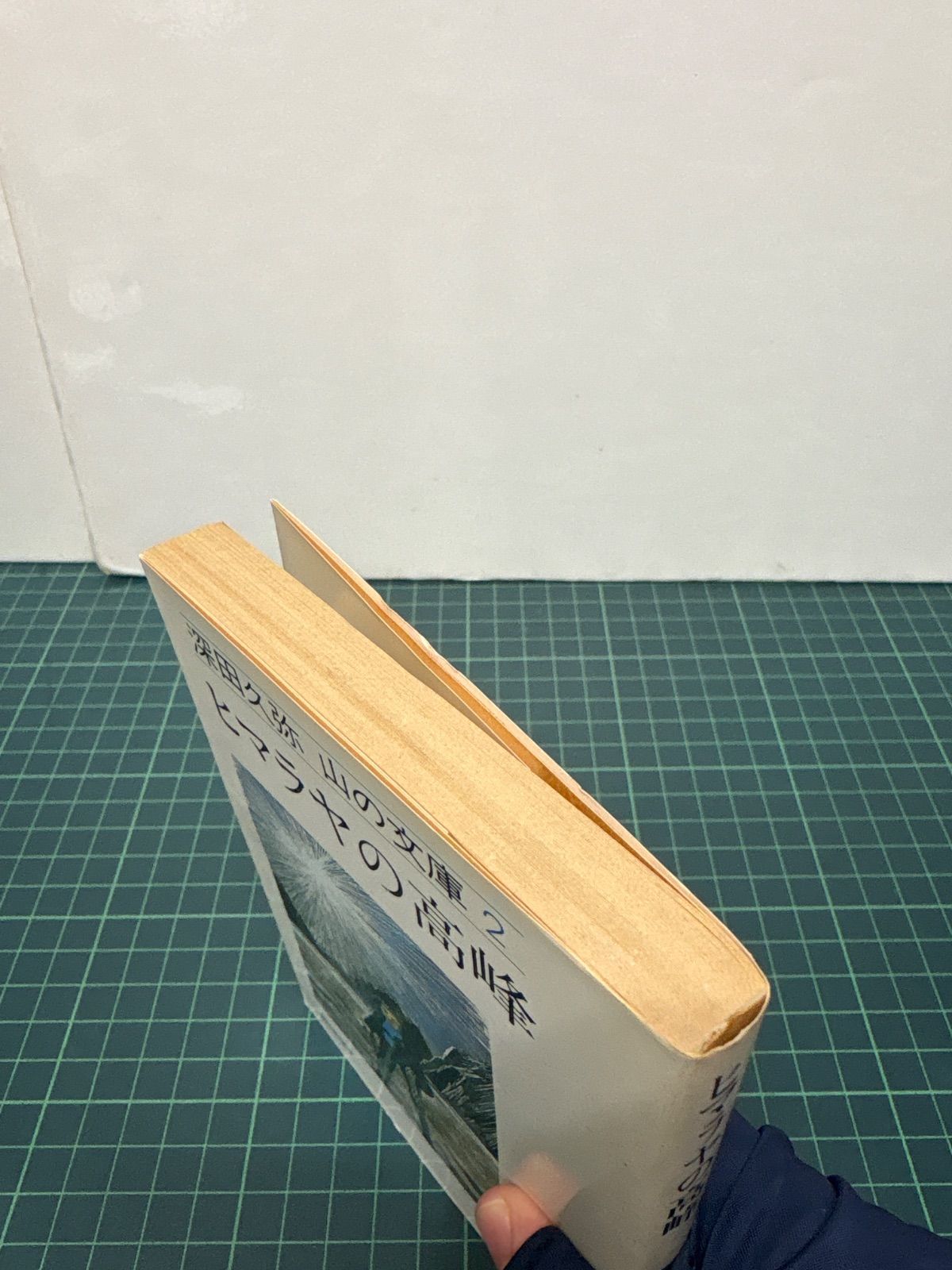 ヒマラヤの高峰 深田久弥 昭和57年 初版 山の文庫2 朝日新聞社 古書