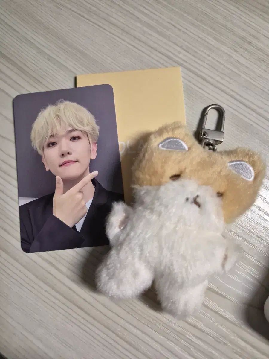 EXO ベクヒョン(BAEKHYUN) トレギ TEOLAEGI キーホルダー + トレカ