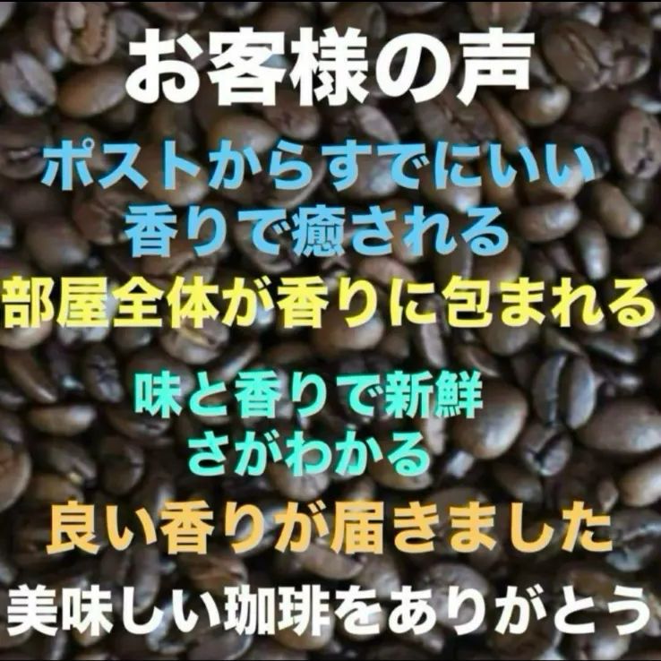 めぐりちゃページ　セブンステラ　マンデリンG1 インドネシア産　900g 自家焙煎コーヒーマンデリンG1 セブンステラインドネシア産 300g 購入