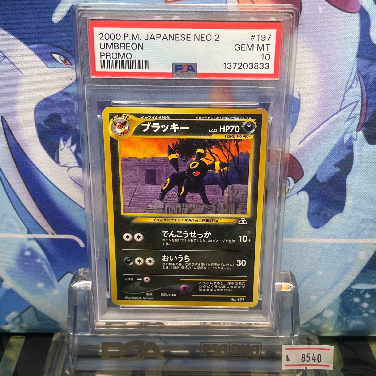 PSA10 ブラッキー 旧裏 プレミアムファイル2 neo2 197 2000 - メルカリ