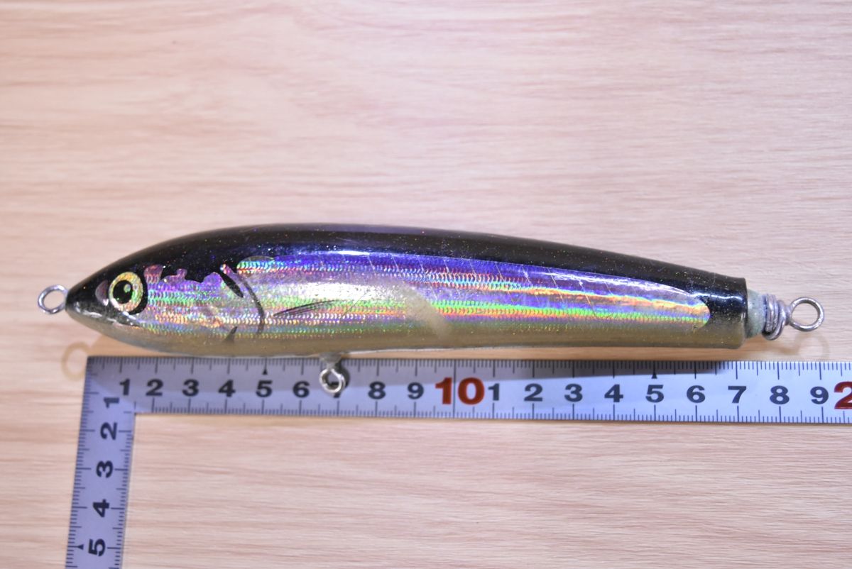 カーペンター ブル―フィッシュ 60-170 CARPENTER BlueFish