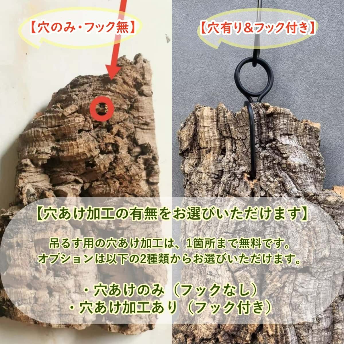 M411 ポルトガル産 厚め コルク樹皮 コルク板 バージンコルク 送料無料