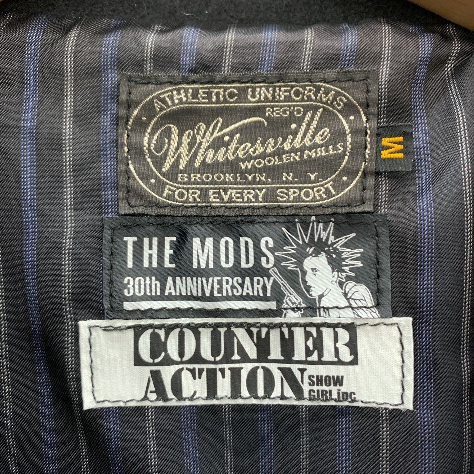 東洋エンタープライズ Whitesville THE MODS 30周年 スタジアム