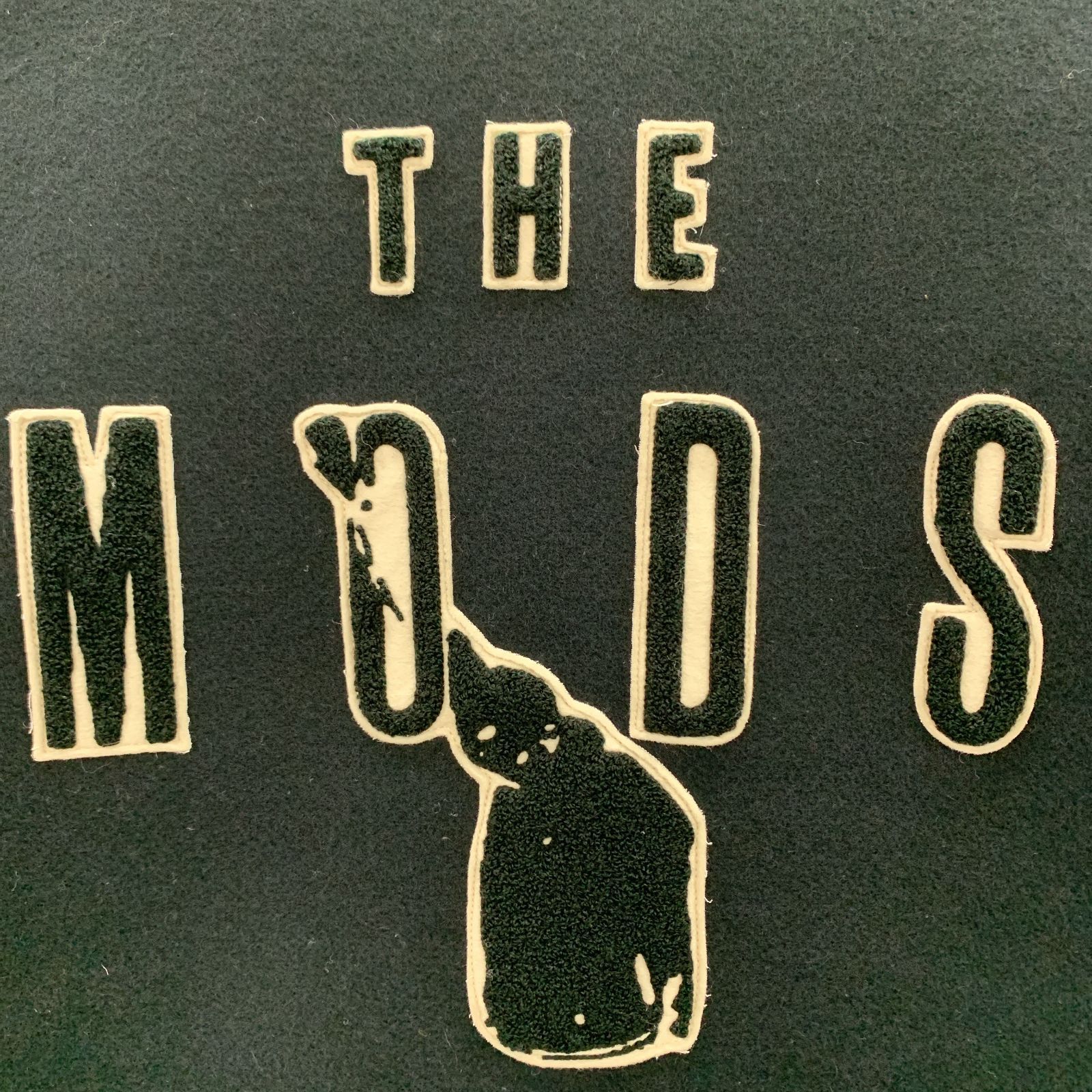 東洋エンタープライズ Whitesville THE MODS 30周年 スタジアム