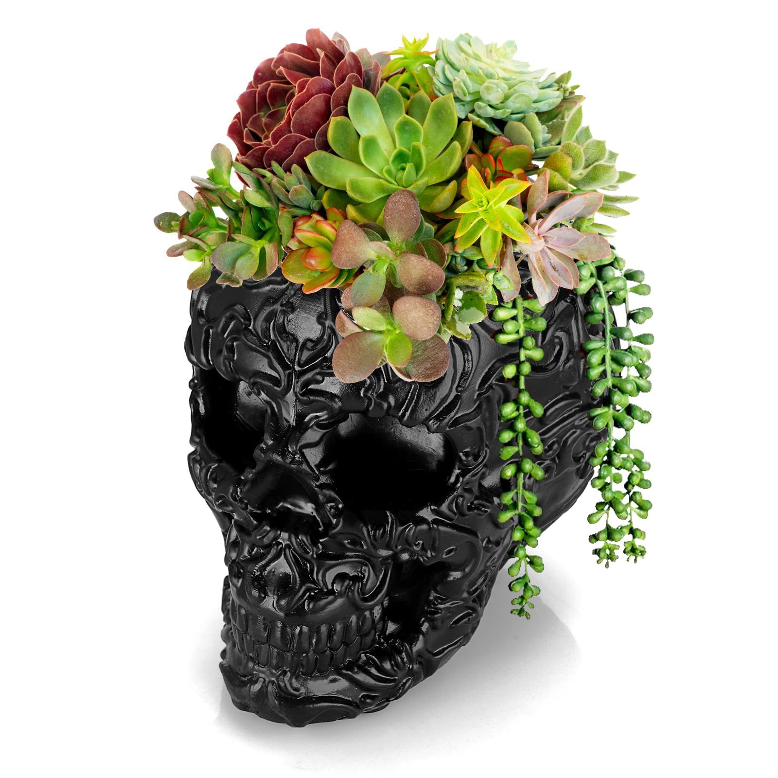 アダチマリ ドクロ植木鉢 アダチマリ ドクロ柄 植木鉢 【公式通販】