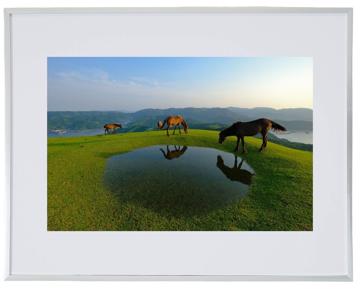 タイトル「雨上がり」2Lサイズ 写真のみ オリジナルプリント 都井岬