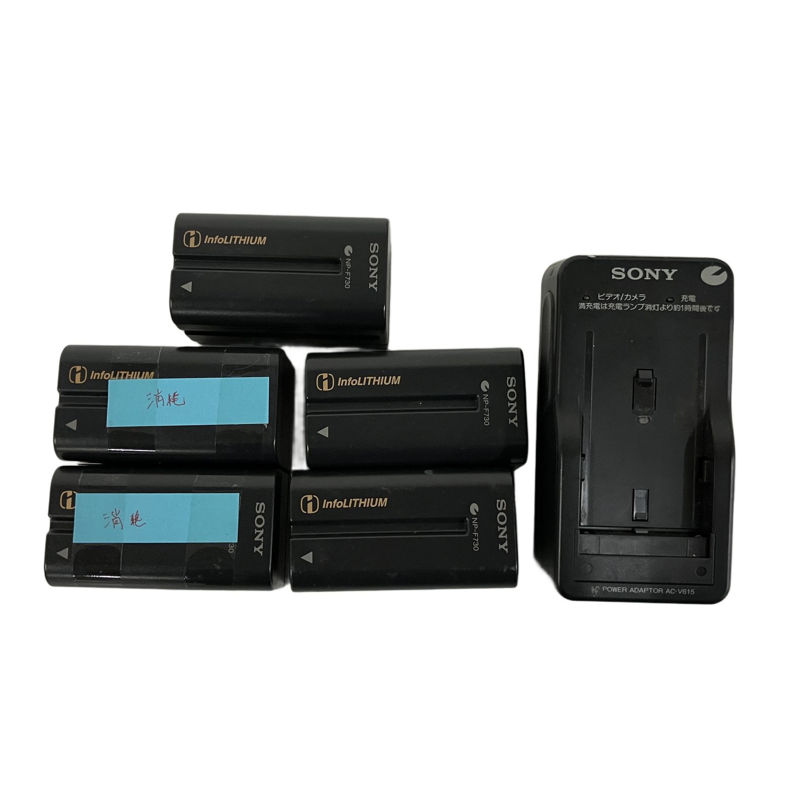 SONY Handycam DCR-VX1000 デジタルビデオカメラ ハンディカム 撮影