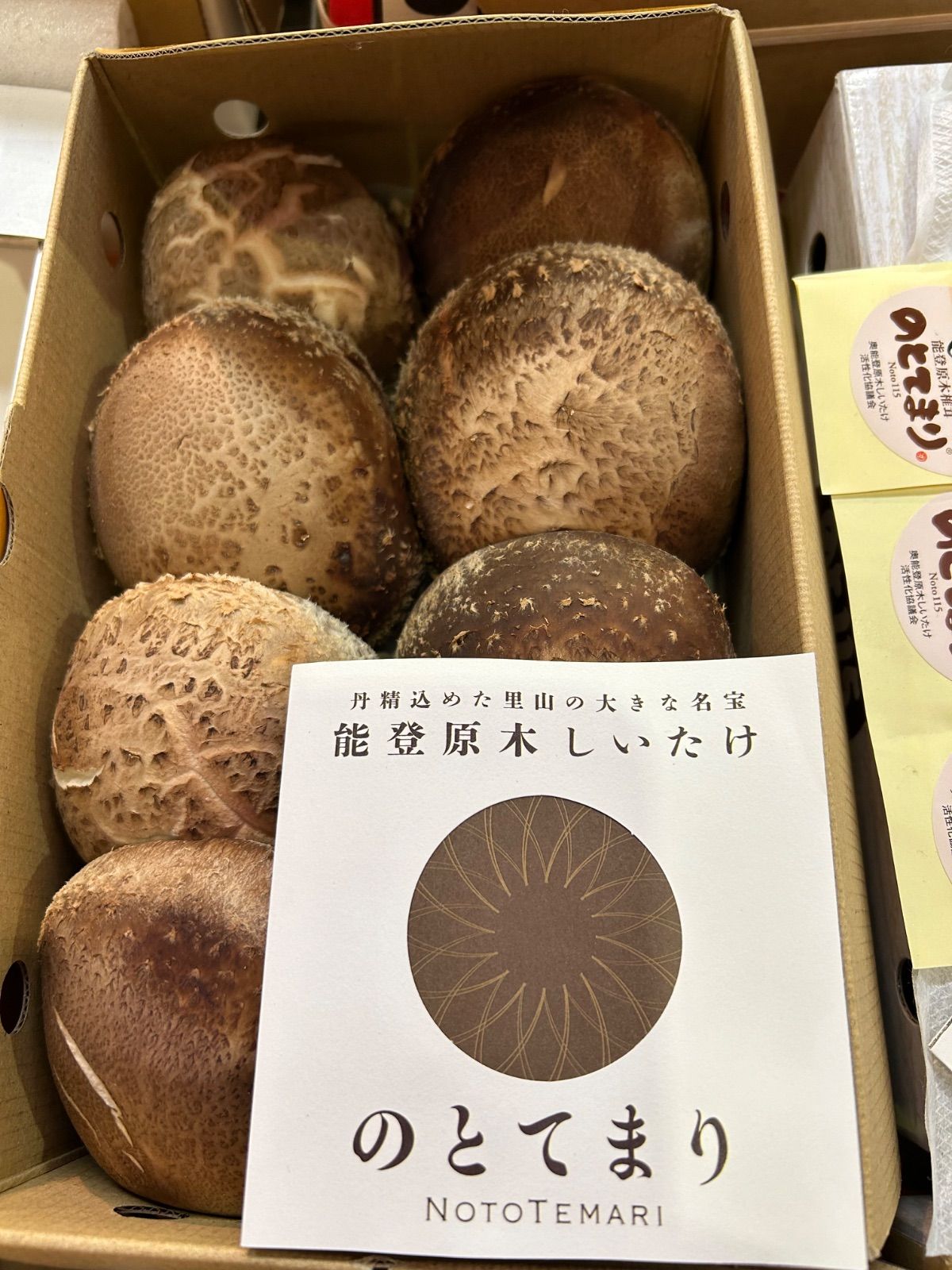 仏陀巡礼: 並河万里写真集 大型本 並河万里 (著) 写真集 タイ 黄金の仏都黄金の仏たち(並河 万里【著】) / 古本、中古本