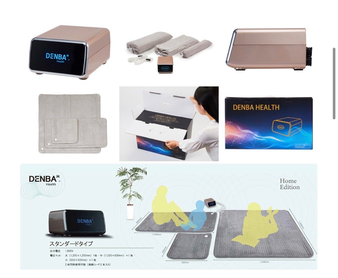 DENBA Health Standerd デンバジャパン スタンダードタイプ - メルカリ