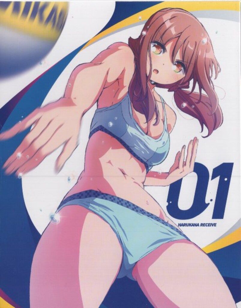 アニメBlu-ray はるかなレシーブ 初回版全6巻 セット - メルカリ