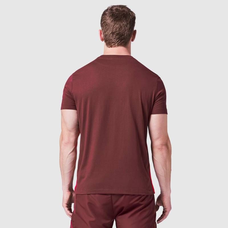 送料無料・匿名配送】ラグビー ウェールズ代表 2025/26 トラベル