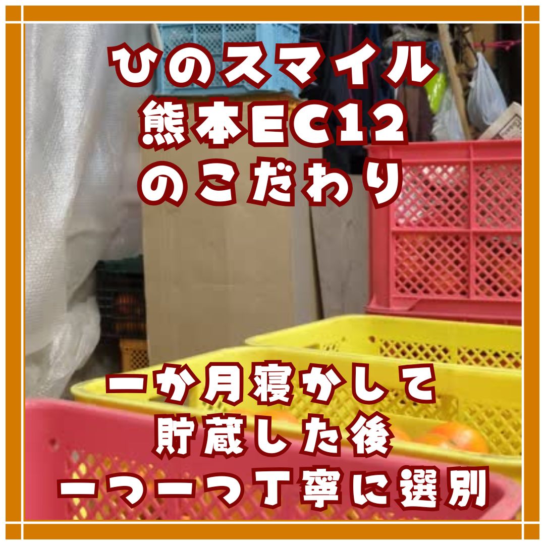 熊本みかん ひのスマイル 3kg バラ詰め 家庭用 - メルカリ