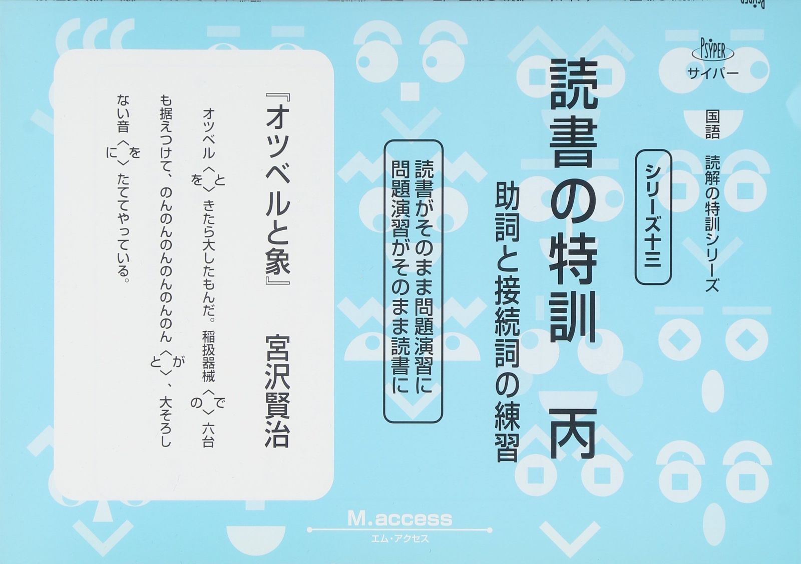 国語読解シリーズ 十三 読書の特訓 丙