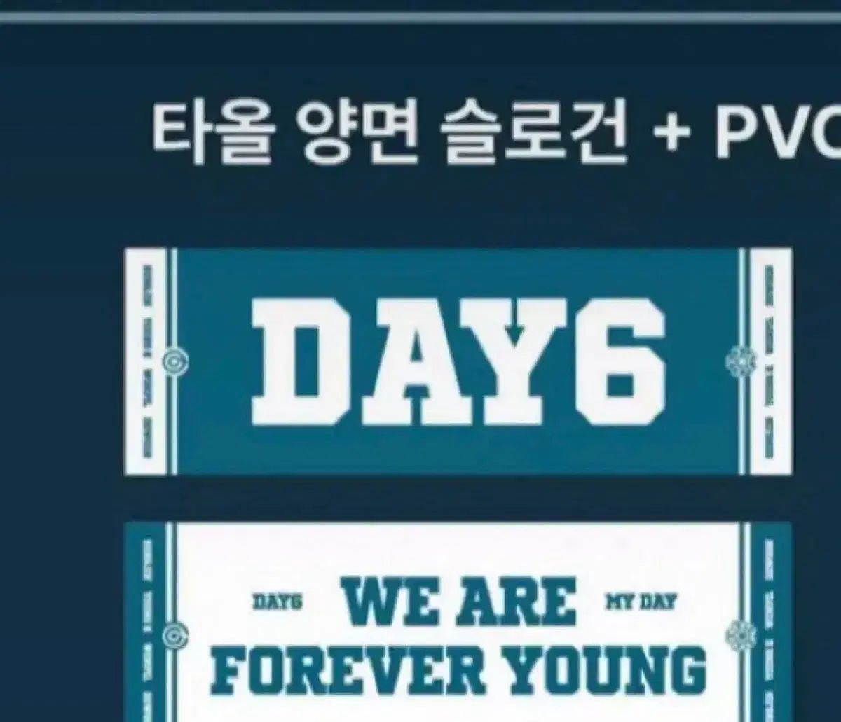 DAY6 (デイシックス) FOREVER YOUNG フィナーレ アンコールコンサート アンコン ファンクラブ スローガン