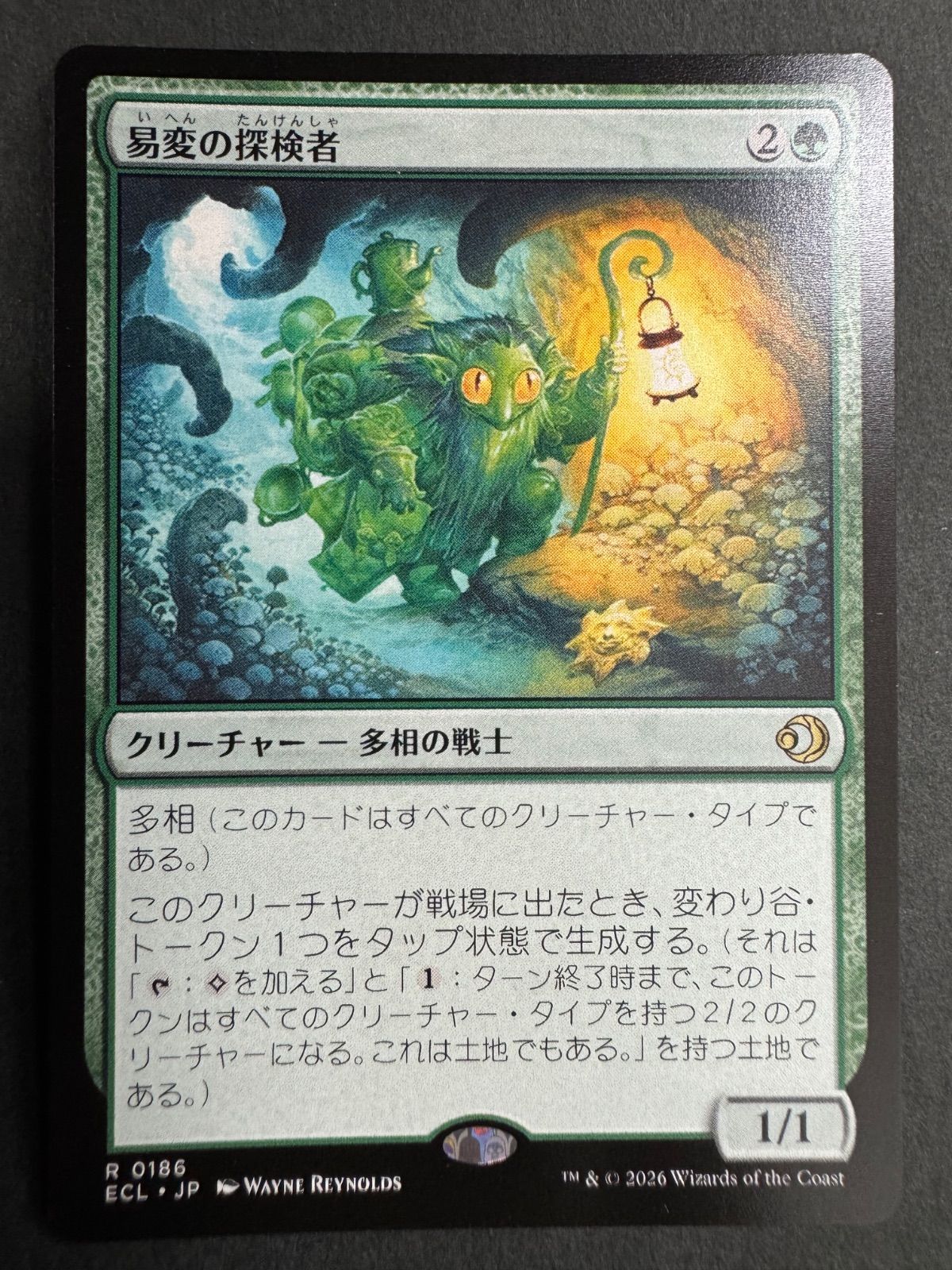 MTG 易変の探検者 日本語 2枚セット - メルカリ