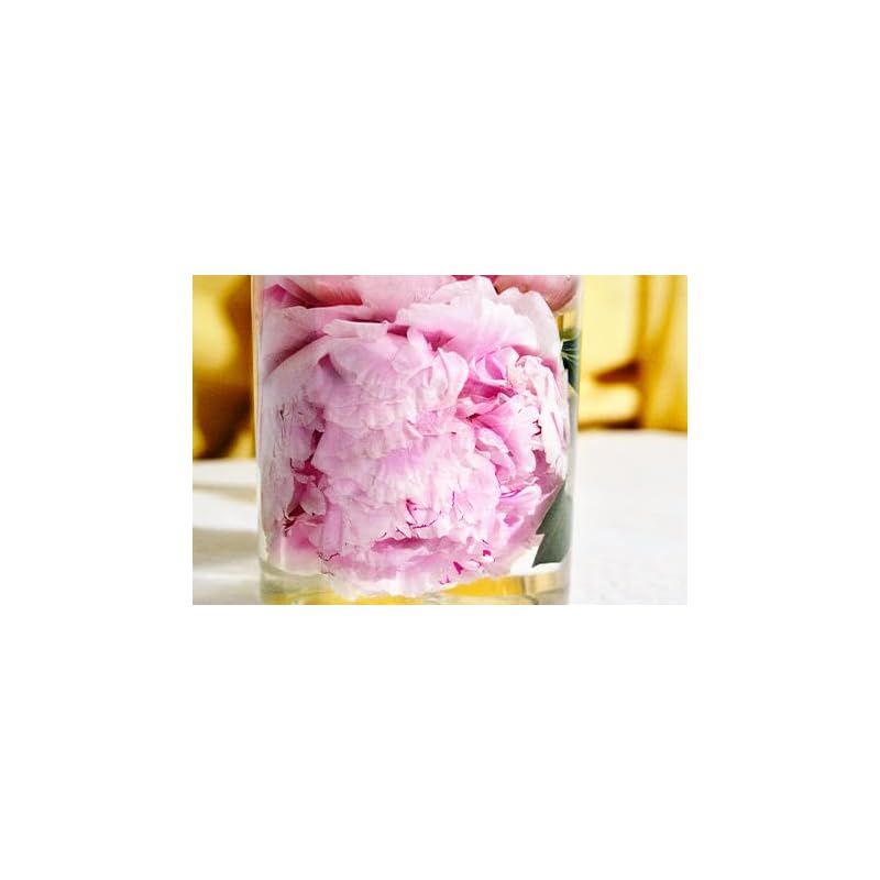SHIRO PERFUME PEONY BLISS オードパルファン 50mL 【公式通販】